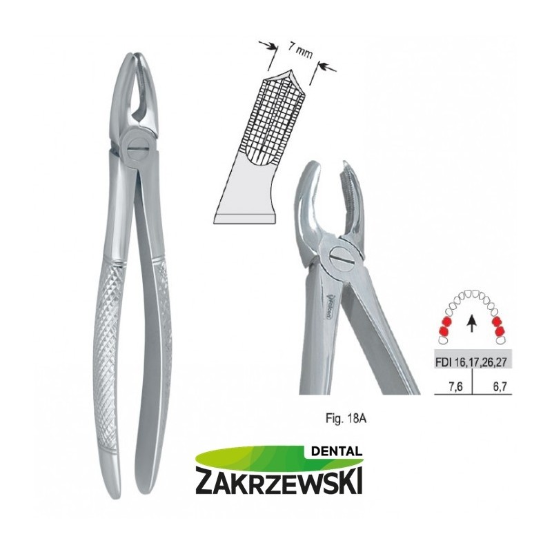 Клещи бертены фиг.18A для верхних моляров Falcon