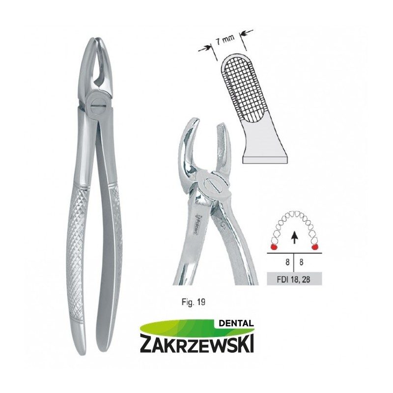 Клещи бертены фиг.19 для зубов мудрости верхнего Сокола