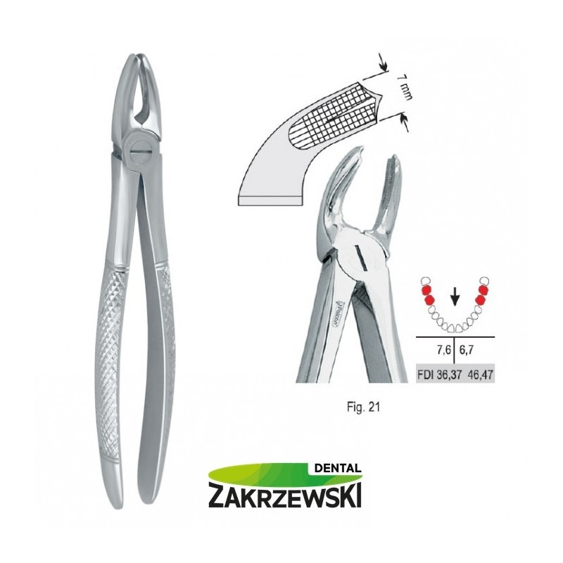 Клещи бертены фиг.21 для нижних моляров Falcon