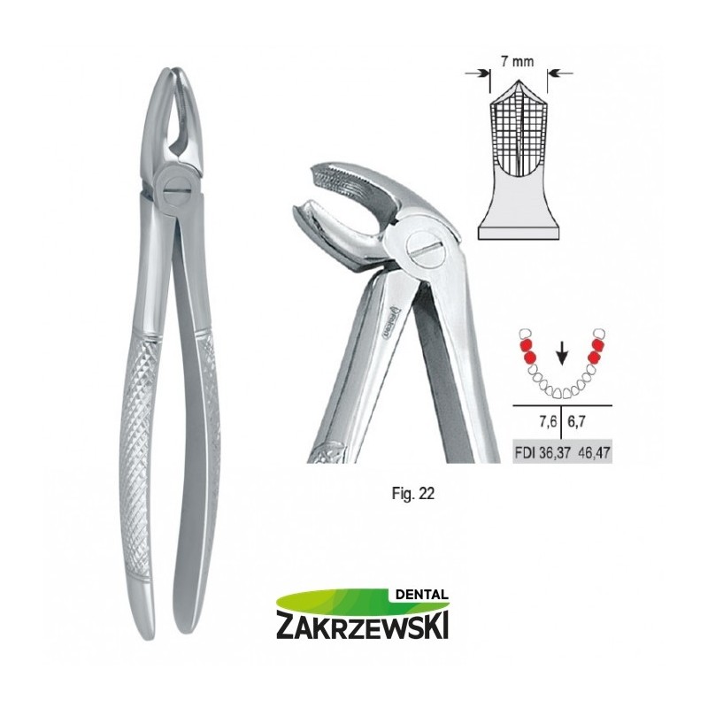 Клещи бертены фиг.22 для нижних моляров Falcon