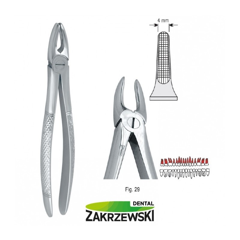 Клещи бертены фиг.29 к верхним корням Сокола