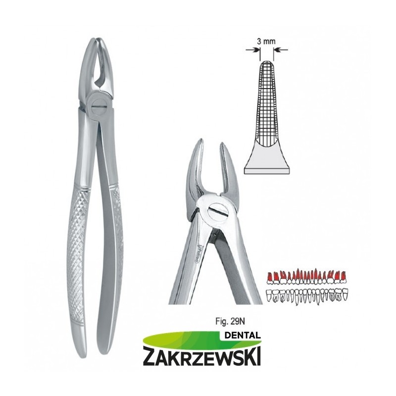 Клещи бертены фиг.29n к верхним корням Falcon