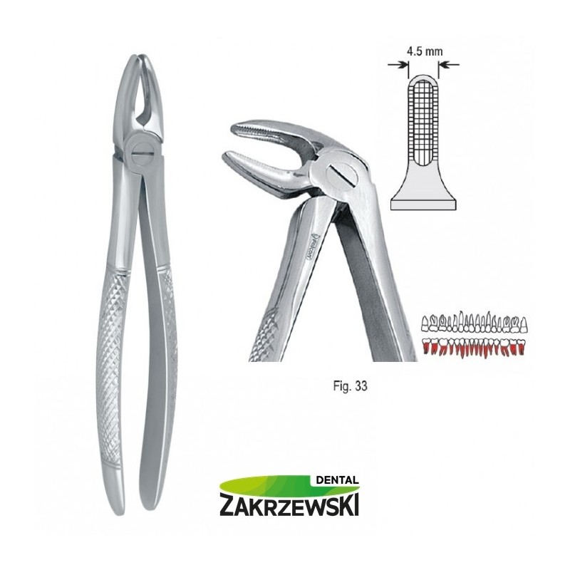 Клещи бертены фиг.33 к нижним корням Сокола