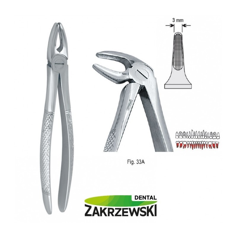 Клещи бертены фиг.33A к нижним корням Сокола