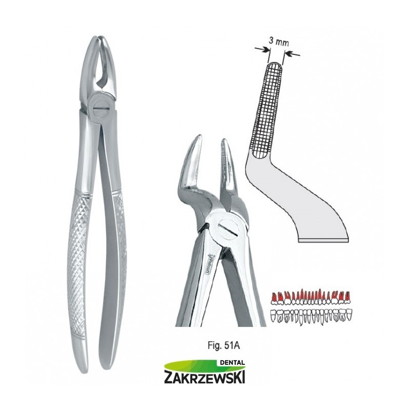 Клещи бертены фиг.51A к верхним корням Сокола