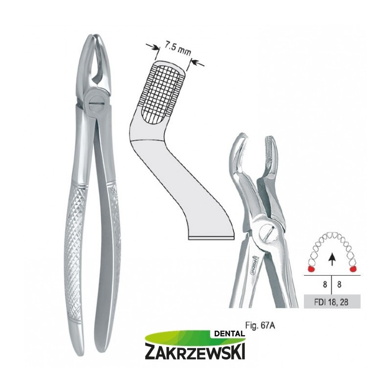 Клещи бертены фиг.67A для зубов мудрости верхнего Сокола