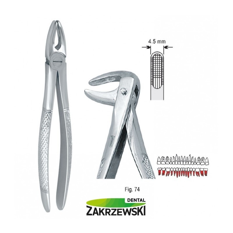 Клещи бертены фиг.74 к нижним корням Сокола