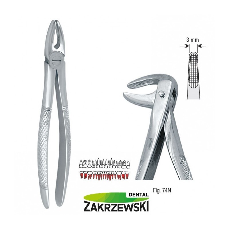 Клещи бертены фиг.74n к нижним корням Falcon