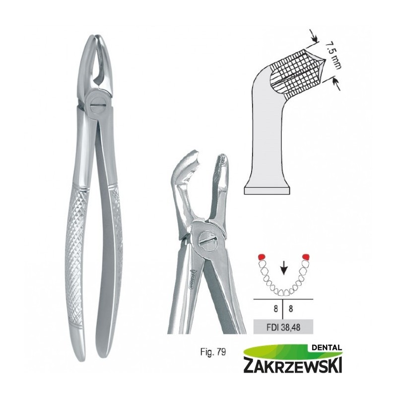 Клещи бертены фиг.79 для зубов мудрости нижних Соколов