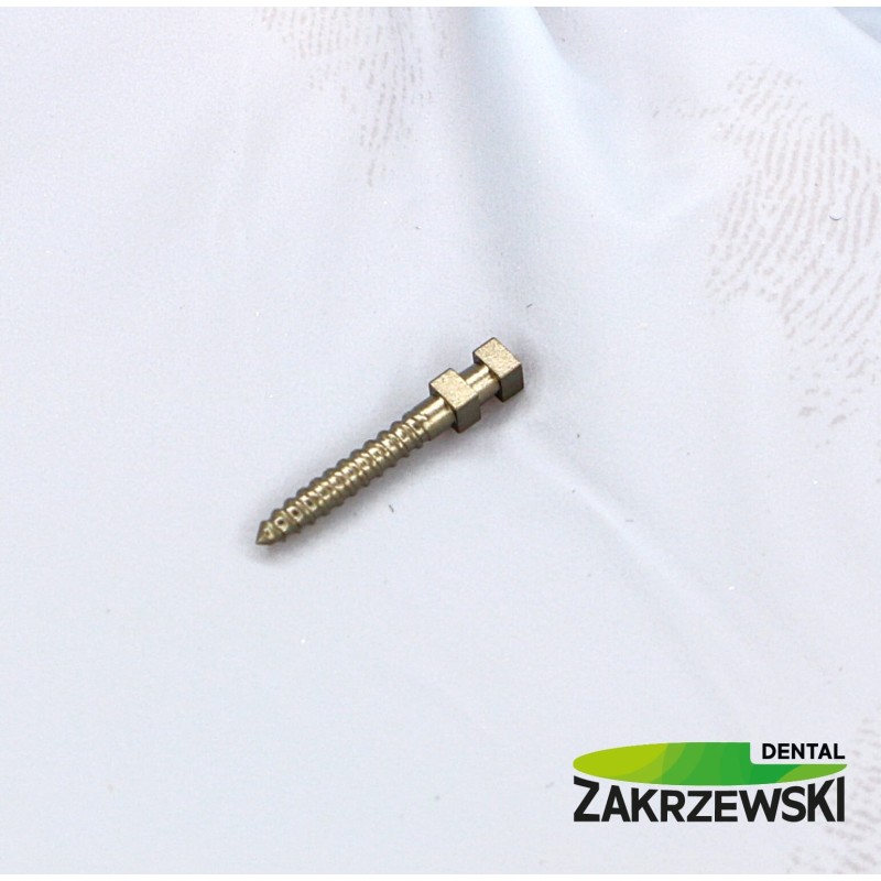 Титановые палочки Ass. op. 120 шт.+ ключ Swedent