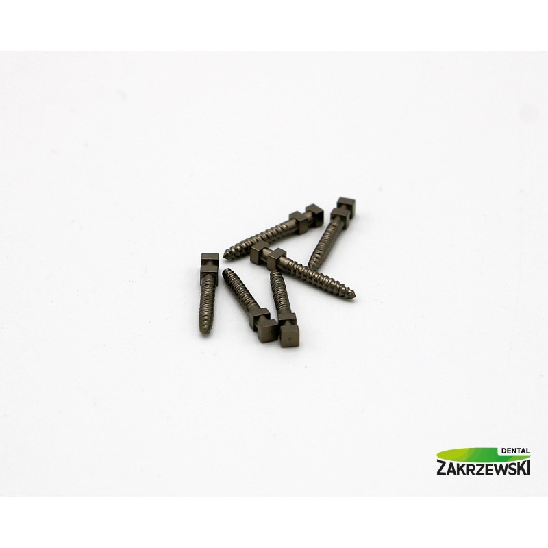 Титановые палочки Ass. op. 60 шт.+ ключ Swedent